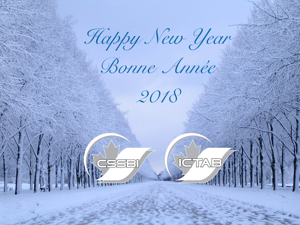 Happy New Year Bonne Annee 2018